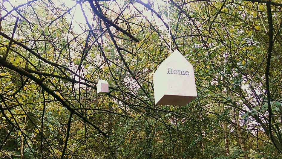 Birdhouse hanging in a garden