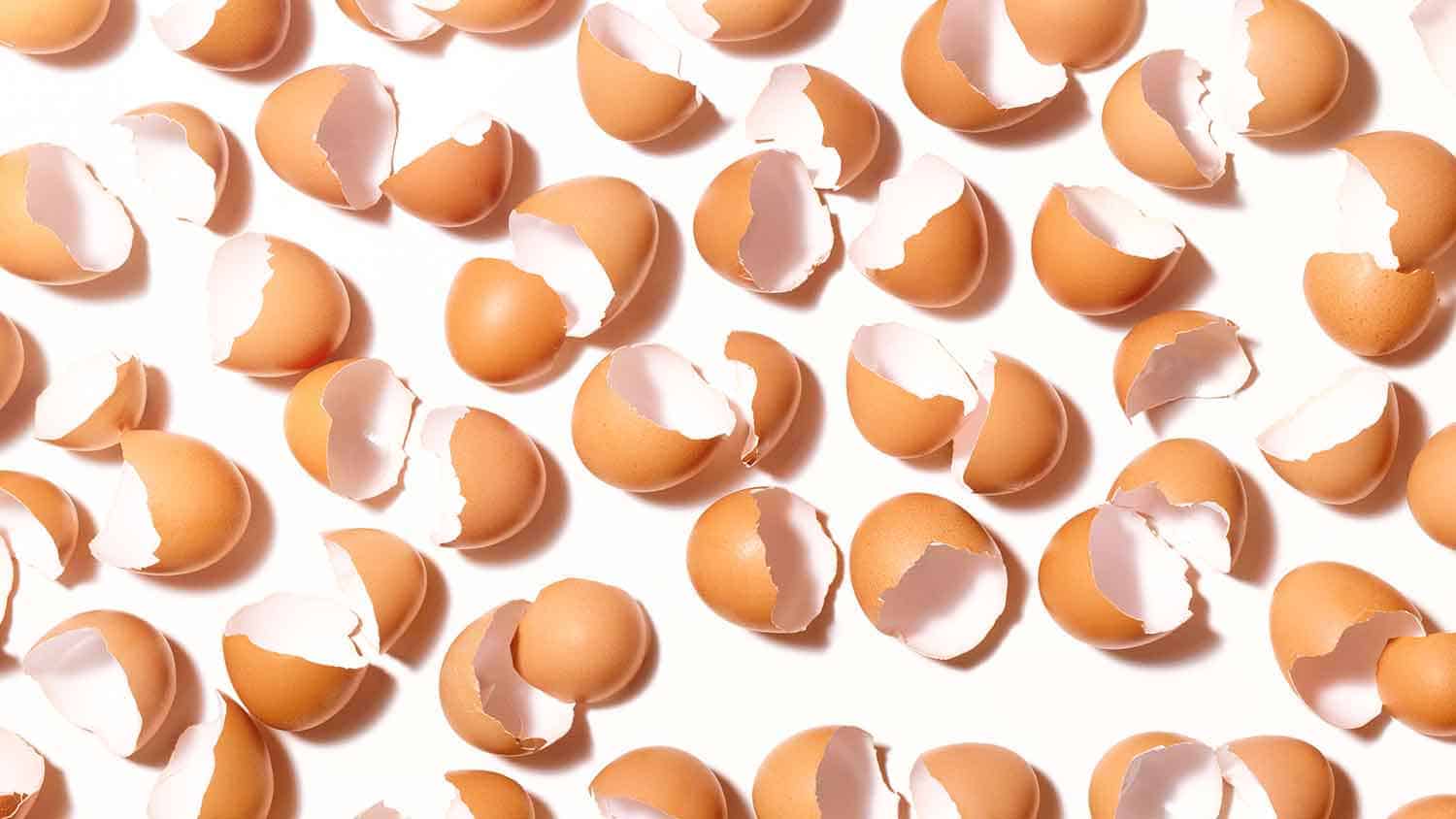 Broken egg shells