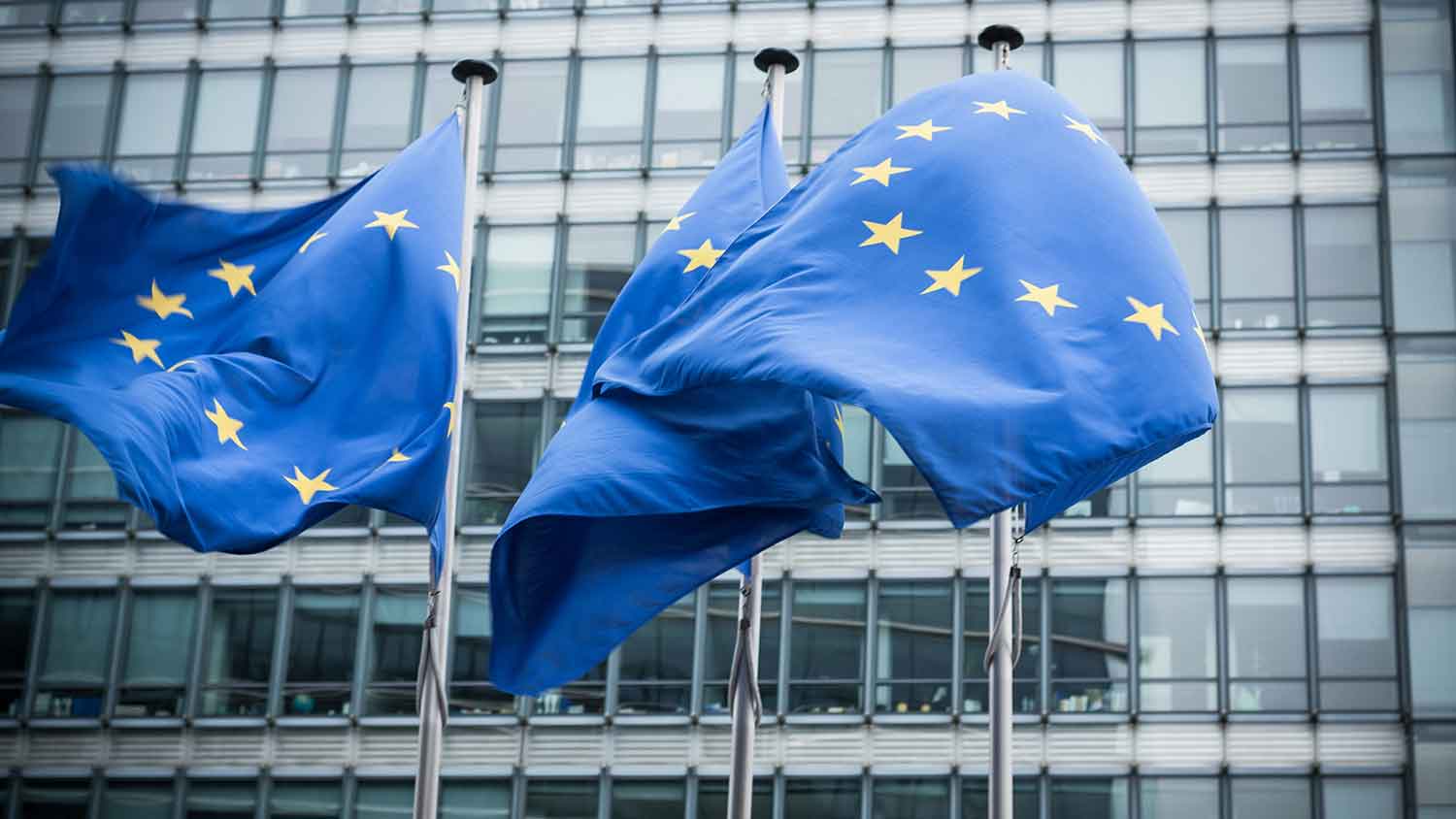 EU flags outside an official building