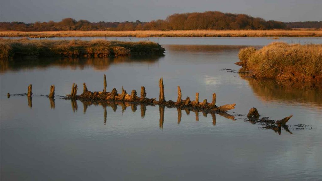 Snape Marshes Nature Reserve, Suffolk