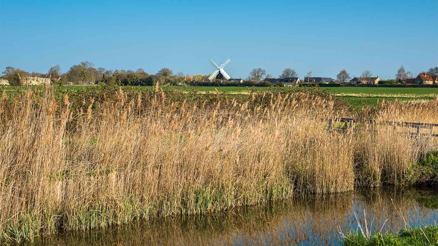 Windmill in a marshy field