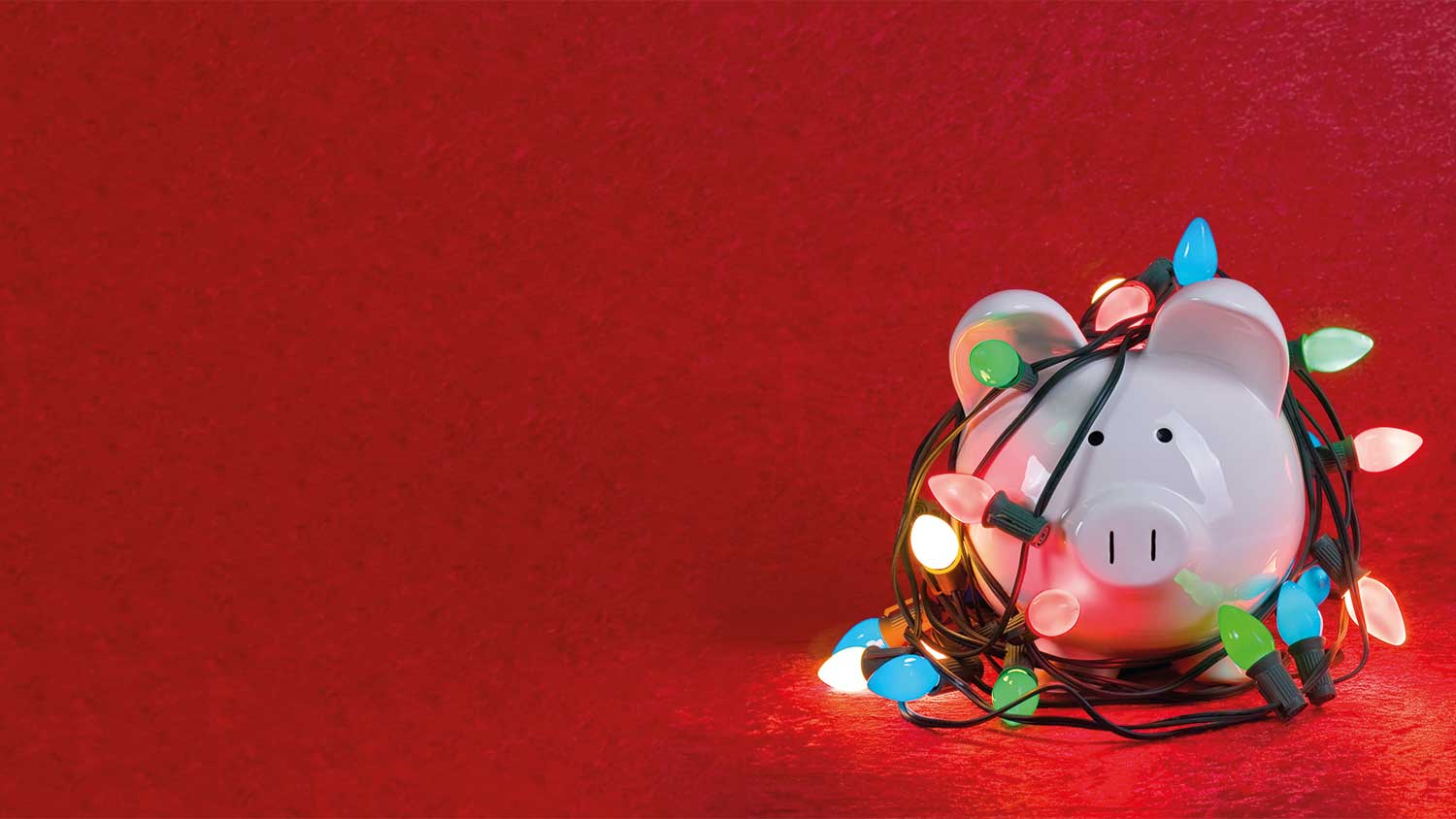 Piggy bank wrapped in Christmas lights