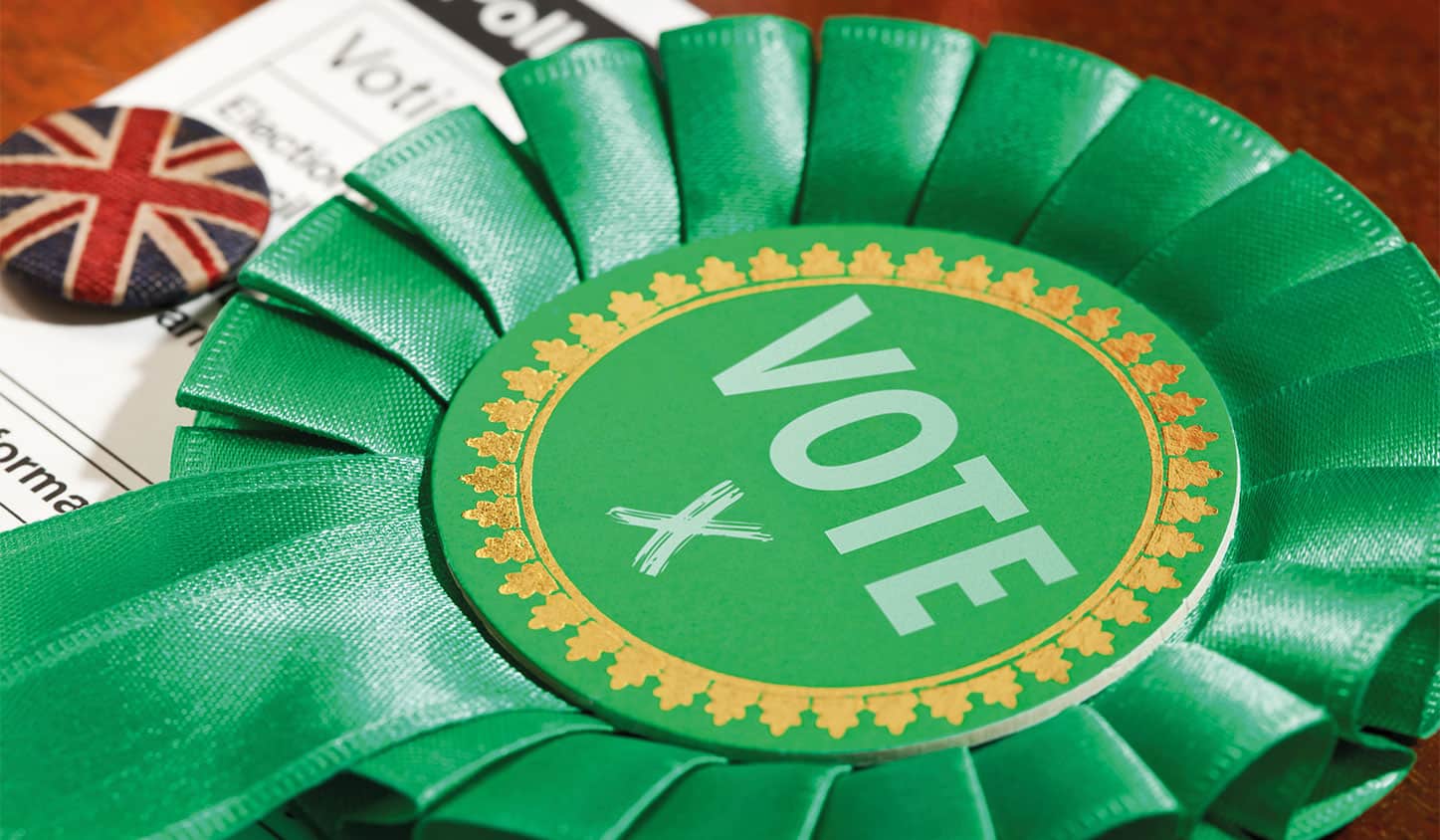 Green rosette with the word vote in the middle