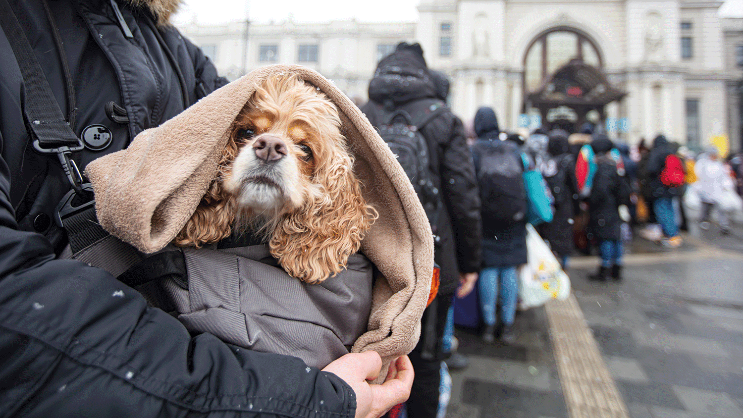 A person holding a dog waiting in a long queue