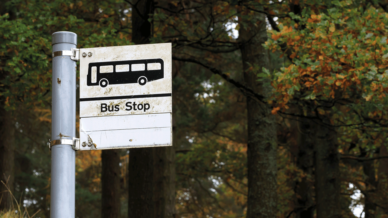 Bus stop sign