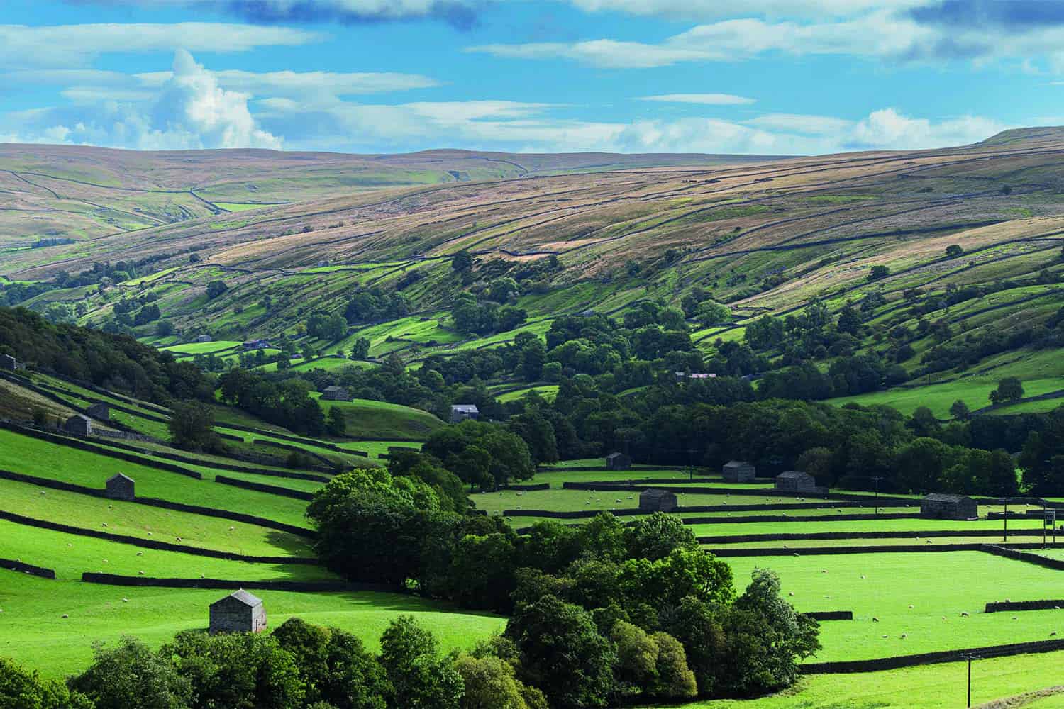 Swaledale countryside, North Yorkshire
