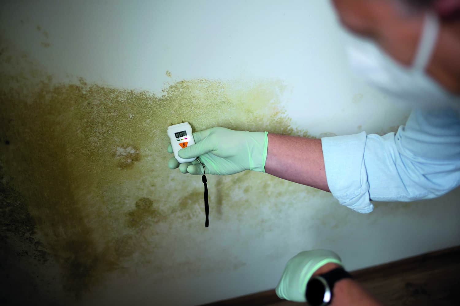 An inspector testing the level of damp on a wall.
