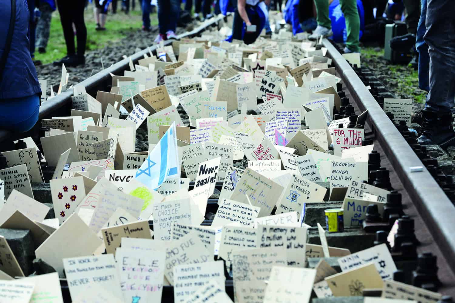 Hundreds of small tribute cards laid down in memoriam of the people lost in the Holocaust.