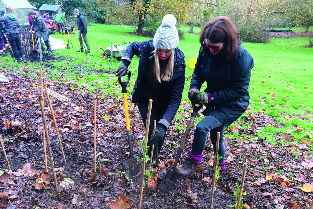 Essex Forest Initiative volunteers planting a small native copse at Danbury, copyright Essex Forest Initiative, shows two women digging and planting with shovels