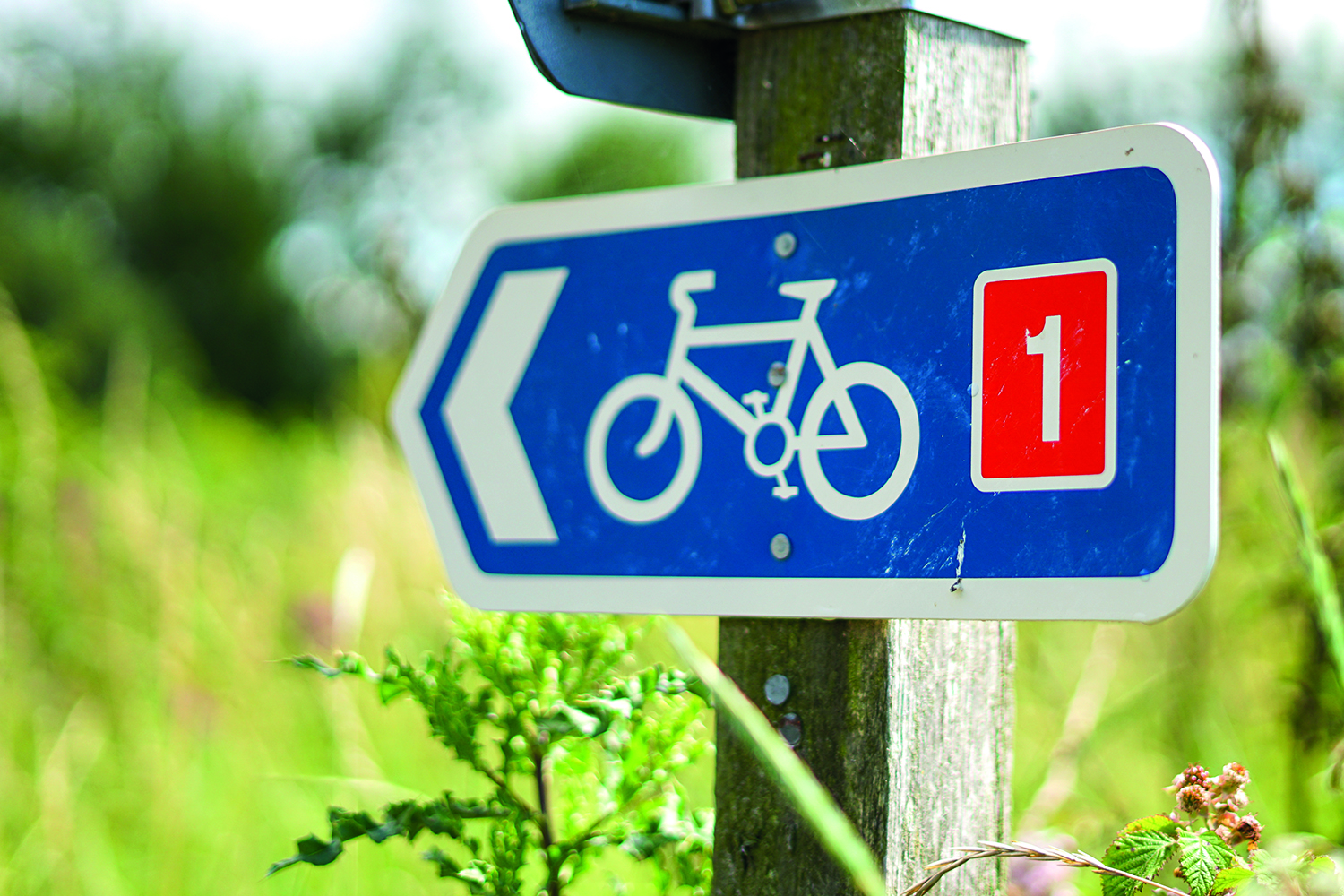 a cycling sign