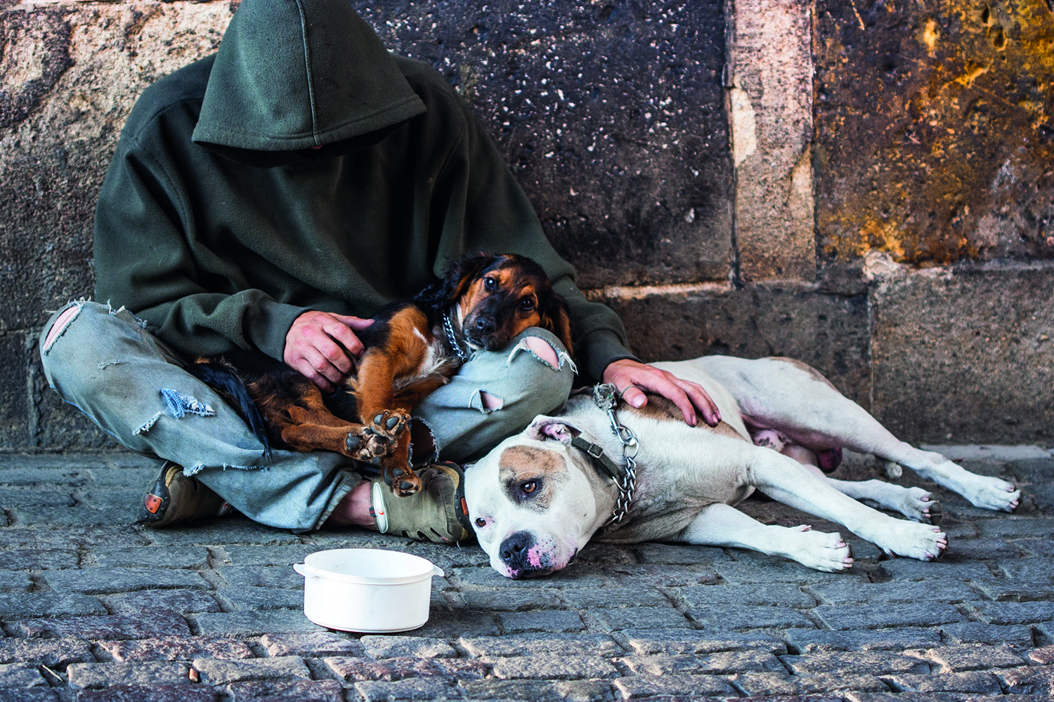 A homeless man on the street with two dogs