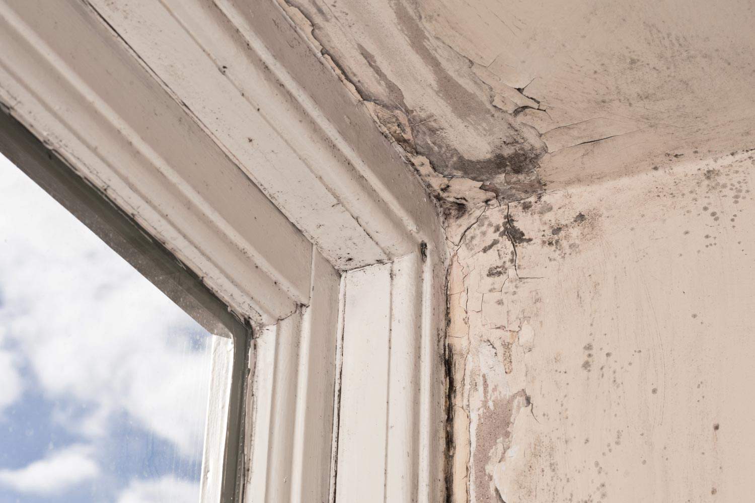 Mould and damaged paintwork on the walls next to a window frame