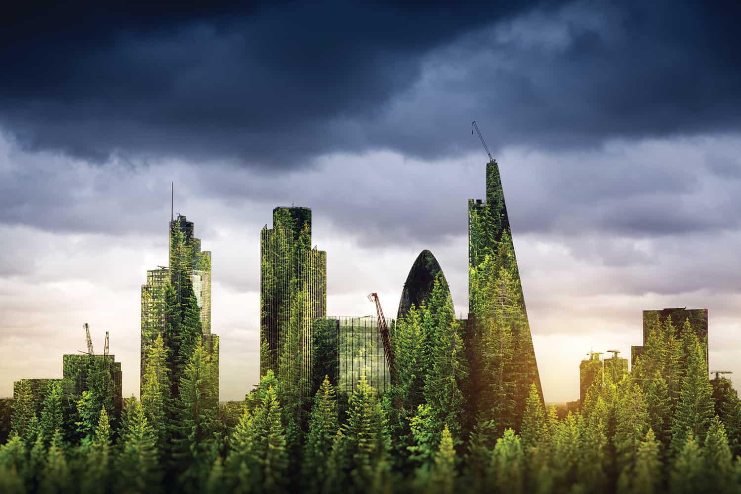 office buildings in the City of London includin the Gherkin overlaid with trees against a cloudy sky