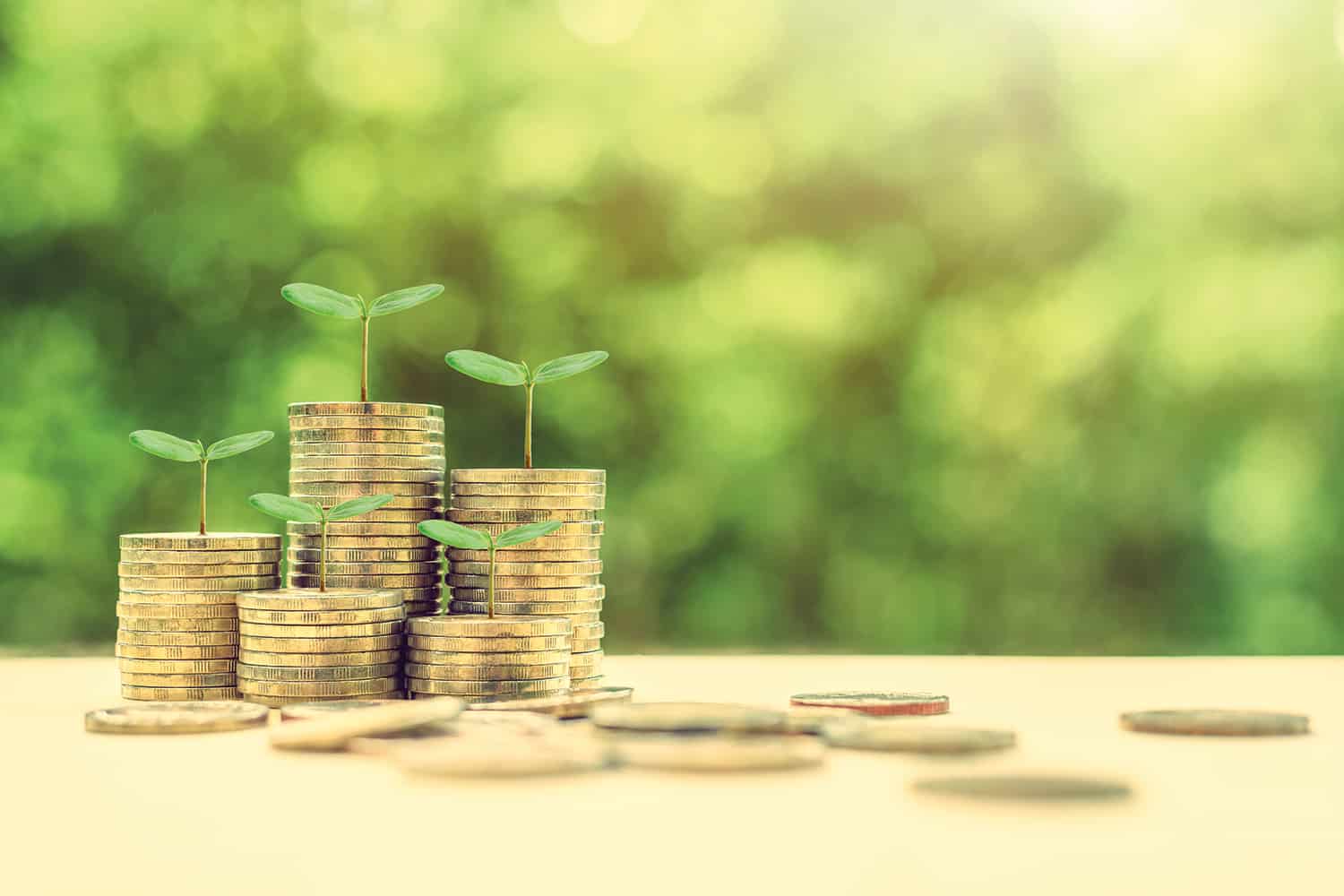 Decorative image of coins stacked up growing small plant buds symbolising growing economy