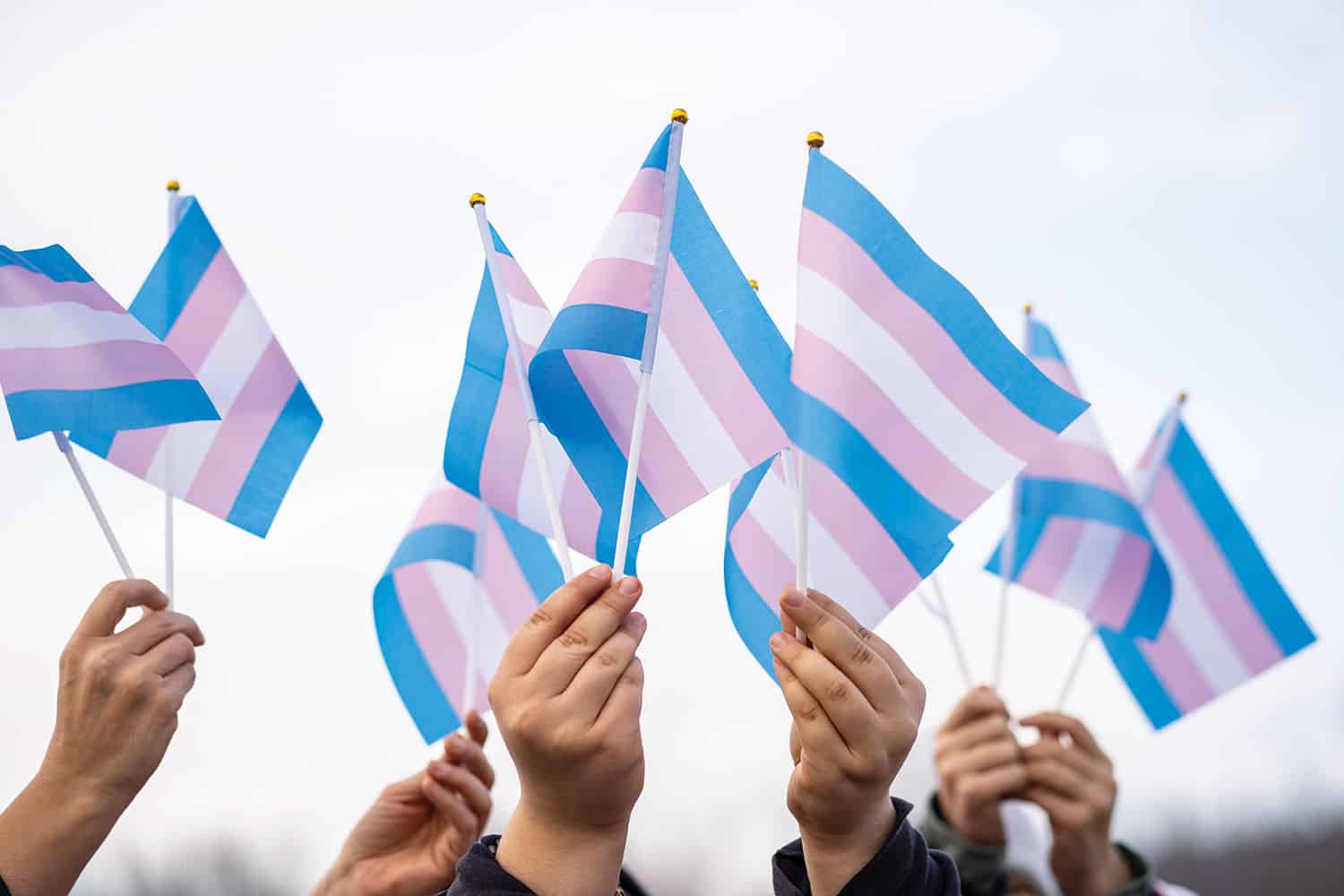 photo of hands holding transgender flags – in baby blue, baby pink and white stripes