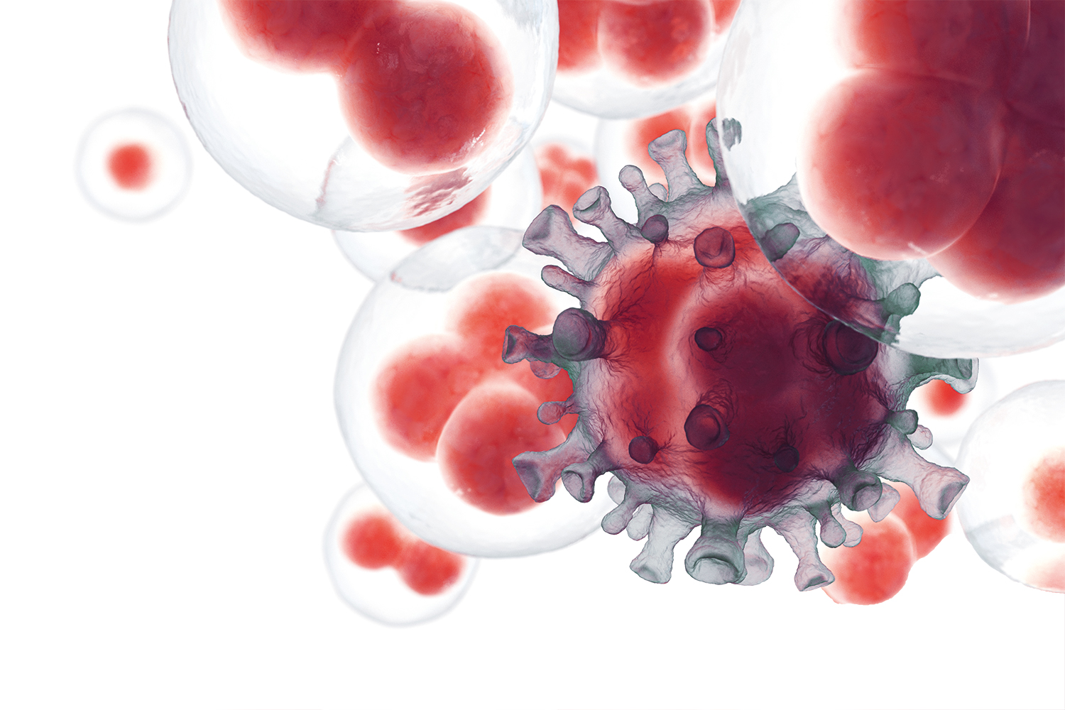 graphic of red and grey coloured cancer cells