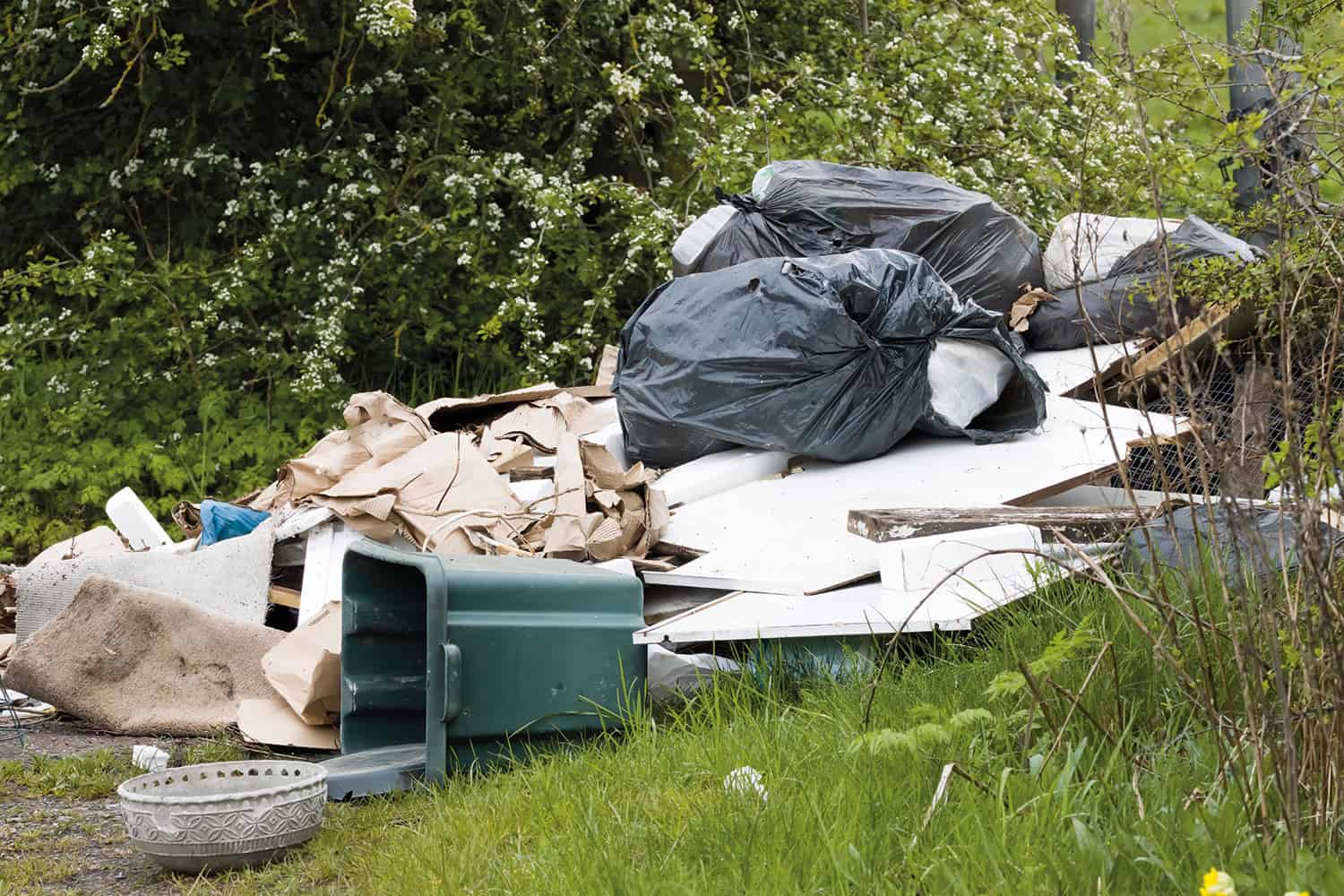 photo of black bin bags and plaster board dumped on a green pathway