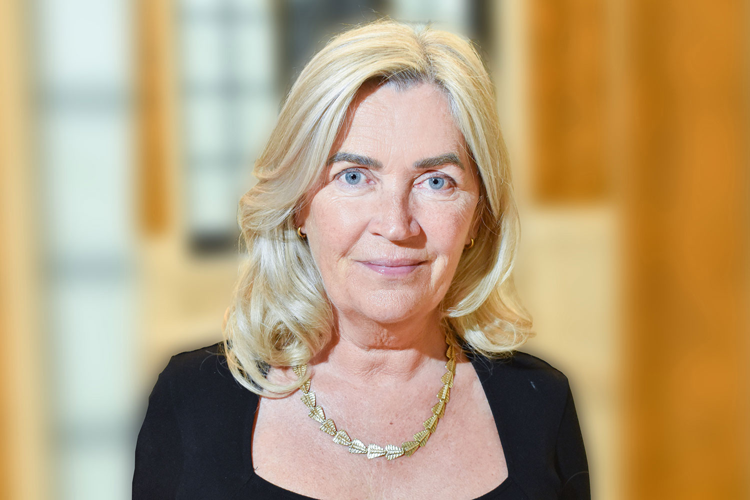 head-and-shoulders photo of Jenny Rowlands, new Interim Chief Executive of the LGA